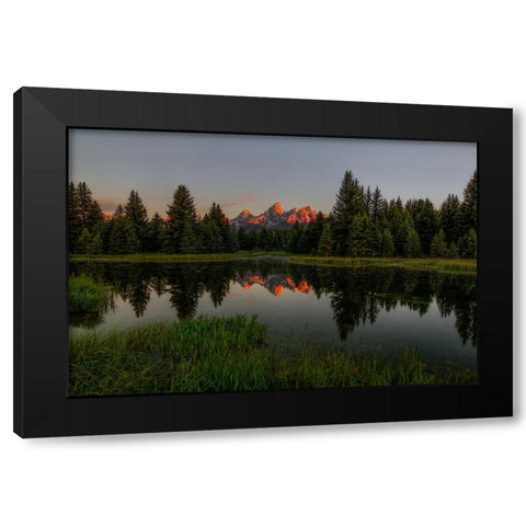 Morning Glory Black Modern Wood Framed Art Print by Sherrell, Bill