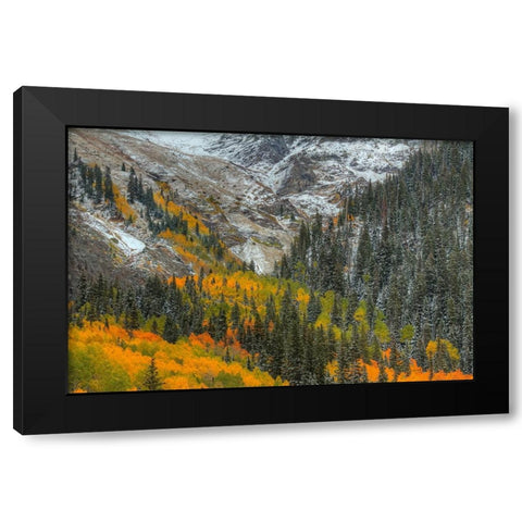 Mountains And Aspens Black Modern Wood Framed Art Print with Double Matting by Sherrell, Bill