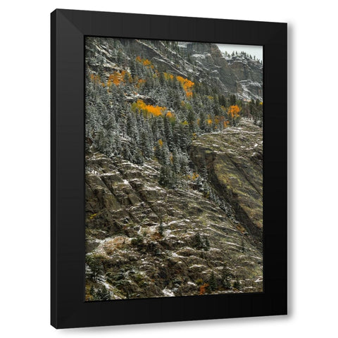 Outlines And Color Slivers Black Modern Wood Framed Art Print by Sherrell, Bill