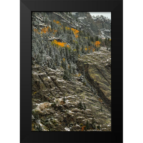 Outlines And Color Slivers Black Modern Wood Framed Art Print by Sherrell, Bill