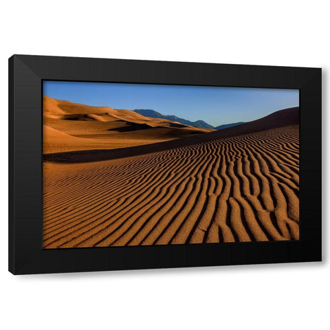 Pebble On A Sand Dune Black Modern Wood Framed Art Print with Double Matting by Sherrell, Bill