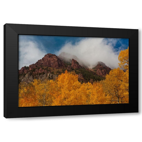 Ruggedness Unveiled Black Modern Wood Framed Art Print by Sherrell, Bill