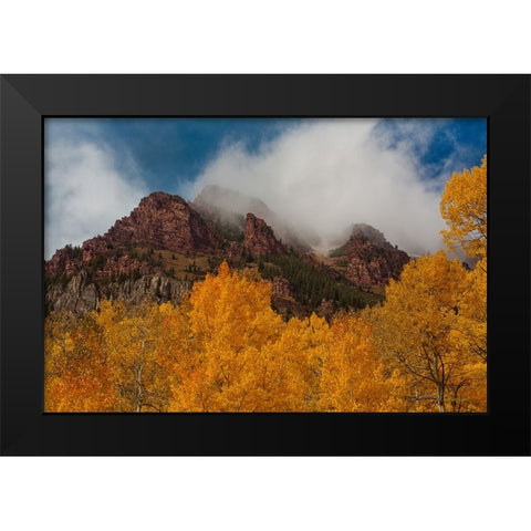 Ruggedness Unveiled Black Modern Wood Framed Art Print by Sherrell, Bill