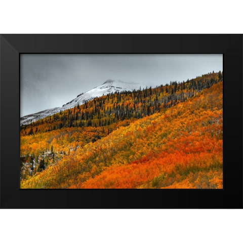 Shades Of Autumn Black Modern Wood Framed Art Print by Sherrell, Bill