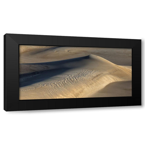 Shaped By The Wind Black Modern Wood Framed Art Print by Sherrell, Bill