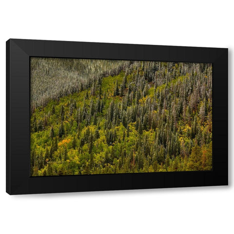 Snowspires Black Modern Wood Framed Art Print by Sherrell, Bill
