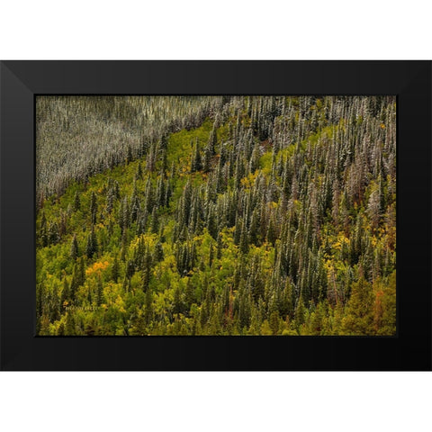 Snowspires Black Modern Wood Framed Art Print by Sherrell, Bill