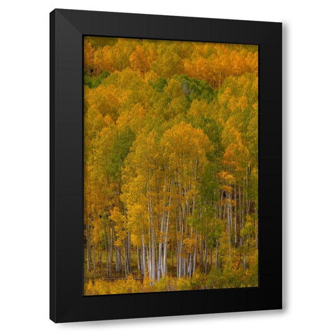 Standing Proud Black Modern Wood Framed Art Print with Double Matting by Sherrell, Bill