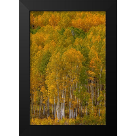 Standing Proud Black Modern Wood Framed Art Print by Sherrell, Bill