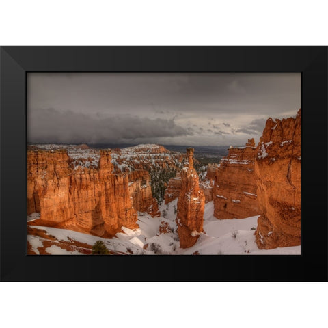 Stormy Sunlight Black Modern Wood Framed Art Print by Sherrell, Bill