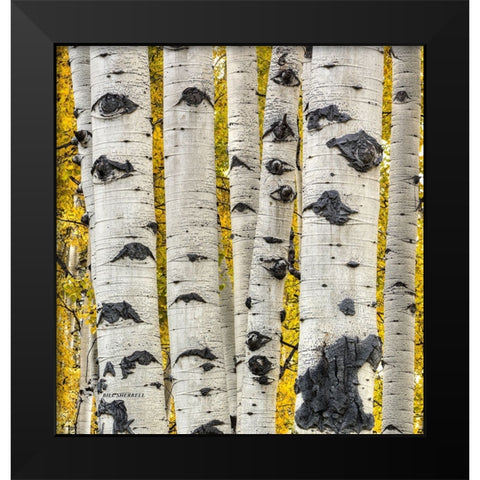 Strength In Numbers Black Modern Wood Framed Art Print by Sherrell, Bill