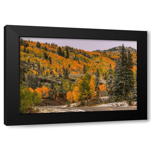Switchback Autumn Black Modern Wood Framed Art Print by Sherrell, Bill