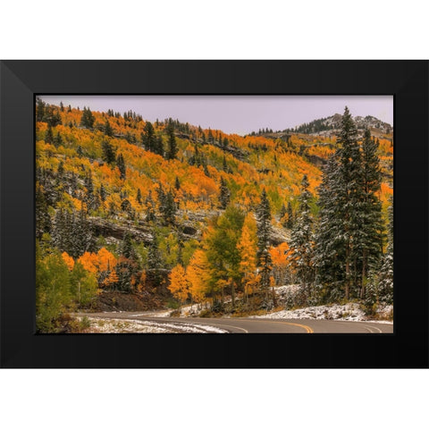Switchback Autumn Black Modern Wood Framed Art Print by Sherrell, Bill