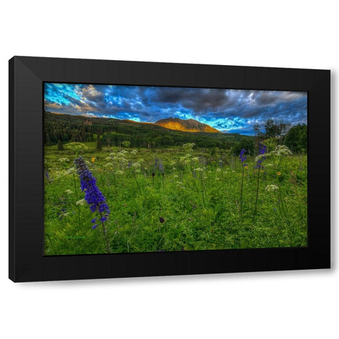 The Dawning Of Majesty Black Modern Wood Framed Art Print by Sherrell, Bill