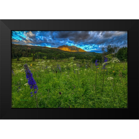 The Dawning Of Majesty Black Modern Wood Framed Art Print by Sherrell, Bill