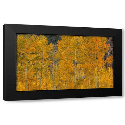 The Flames Of Autumn Black Modern Wood Framed Art Print with Double Matting by Sherrell, Bill