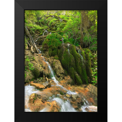 Tiers Of Joy Black Modern Wood Framed Art Print by Sherrell, Bill