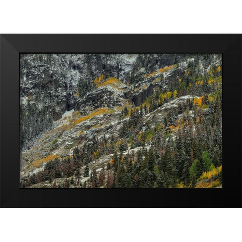 White Lace And Colored Ridges Black Modern Wood Framed Art Print by Sherrell, Bill