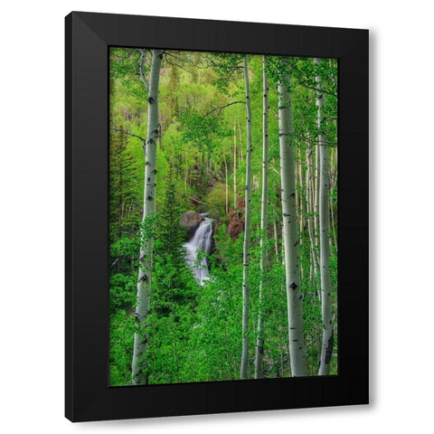 Wilderness Falls Black Modern Wood Framed Art Print with Double Matting by Sherrell, Bill