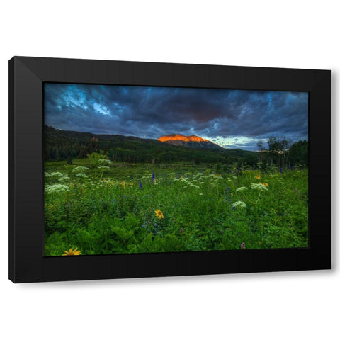 Wildflowers And Mountain Majesty Black Modern Wood Framed Art Print by Sherrell, Bill