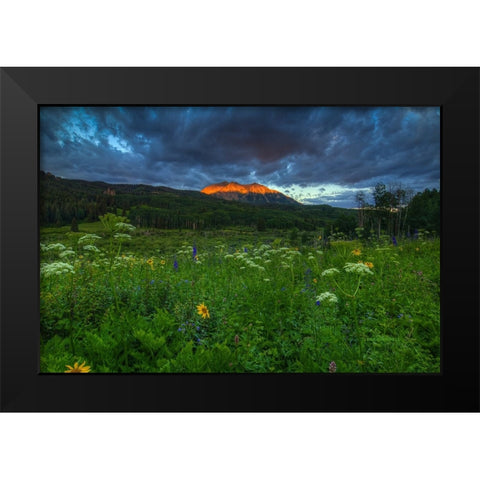 Wildflowers And Mountain Majesty Black Modern Wood Framed Art Print by Sherrell, Bill