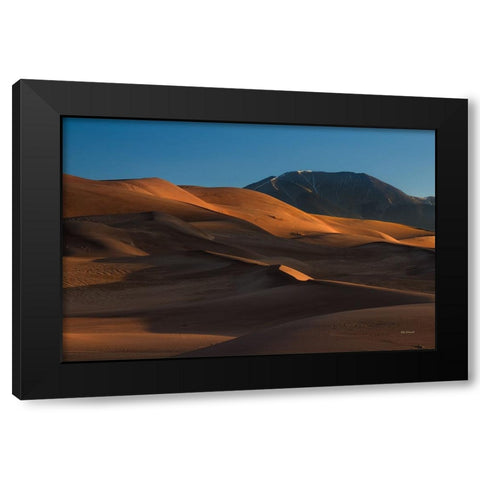 Within The Realm Of Light And Shadow Black Modern Wood Framed Art Print with Double Matting by Sherrell, Bill