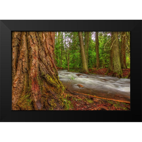 Woodsy Black Modern Wood Framed Art Print by Sherrell, Bill