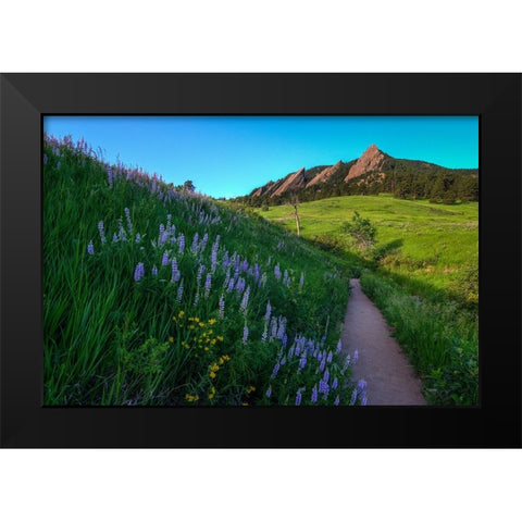 A Walk On The Wild Side Black Modern Wood Framed Art Print by Sherrell, Bill