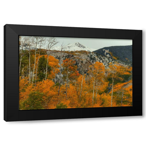 Aspen Outlines Black Modern Wood Framed Art Print with Double Matting by Sherrell, Bill