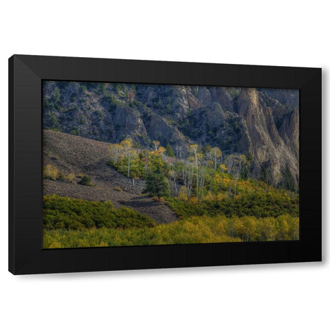 Aspen Sprites Black Modern Wood Framed Art Print with Double Matting by Sherrell, Bill