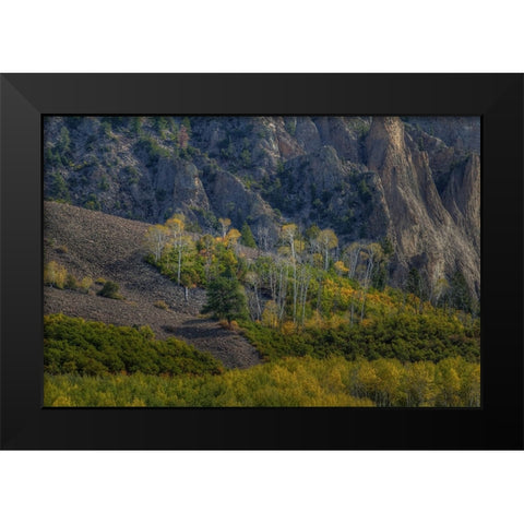 Aspen Sprites Black Modern Wood Framed Art Print by Sherrell, Bill