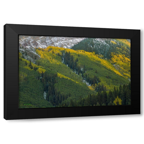 Autumn Angles Black Modern Wood Framed Art Print by Sherrell, Bill