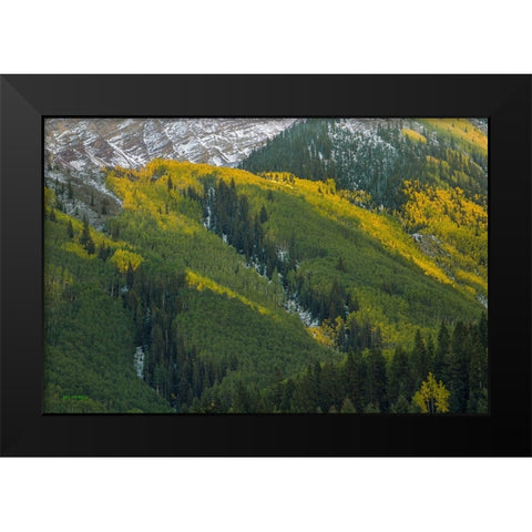 Autumn Angles Black Modern Wood Framed Art Print by Sherrell, Bill