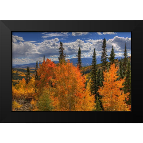 Autumn Fire At Ohio Pass Black Modern Wood Framed Art Print by Sherrell, Bill