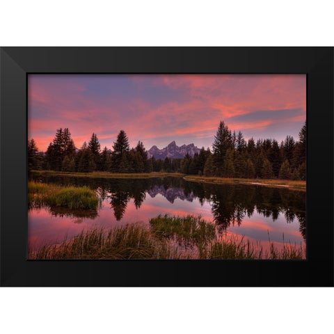 Twilight Serenade Black Modern Wood Framed Art Print by Sherrell, Bill