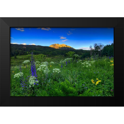 Wildflower Mountain Sunrise Black Modern Wood Framed Art Print by Sherrell, Bill