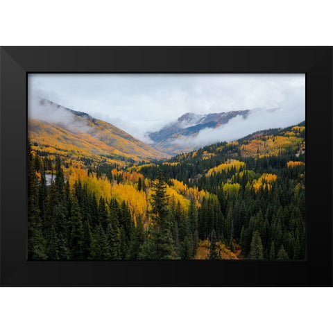 A Sight To Behold Black Modern Wood Framed Art Print by Sherrell, Bill