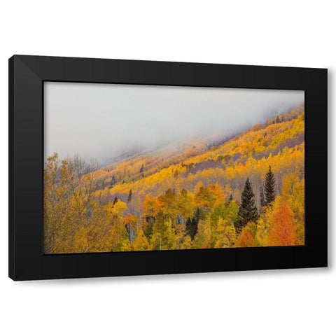 An Autumn Revelation Black Modern Wood Framed Art Print by Sherrell, Bill