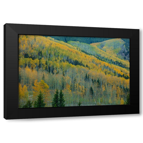 Aspen Escalators Black Modern Wood Framed Art Print with Double Matting by Sherrell, Bill