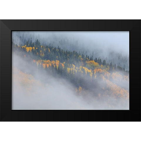 Autumn Epithany 2 Black Modern Wood Framed Art Print by Sherrell, Bill