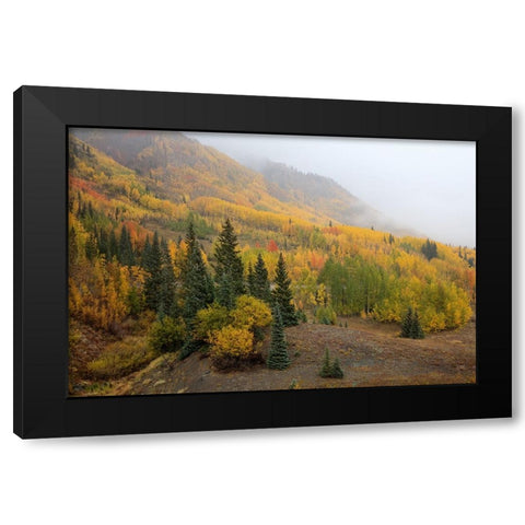 Autumn Majesty Unveiled Black Modern Wood Framed Art Print with Double Matting by Sherrell, Bill