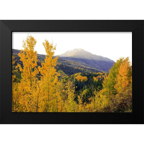 Autumn Meets Morning Mountain Sunshine Black Modern Wood Framed Art Print by Sherrell, Bill