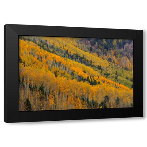 Autumn Rows Black Modern Wood Framed Art Print by Sherrell, Bill