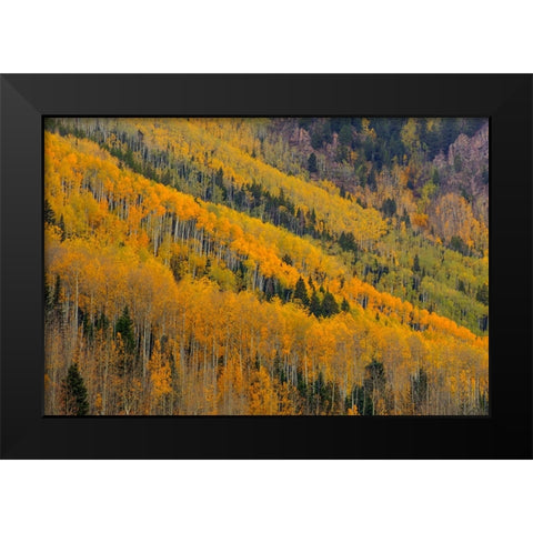 Autumn Rows Black Modern Wood Framed Art Print by Sherrell, Bill