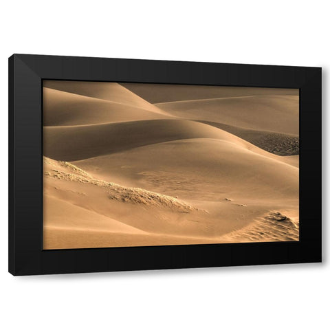Dunes And Light Black Modern Wood Framed Art Print by Sherrell, Bill