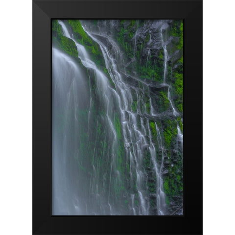 Flowing Grace Black Modern Wood Framed Art Print by Sherrell, Bill