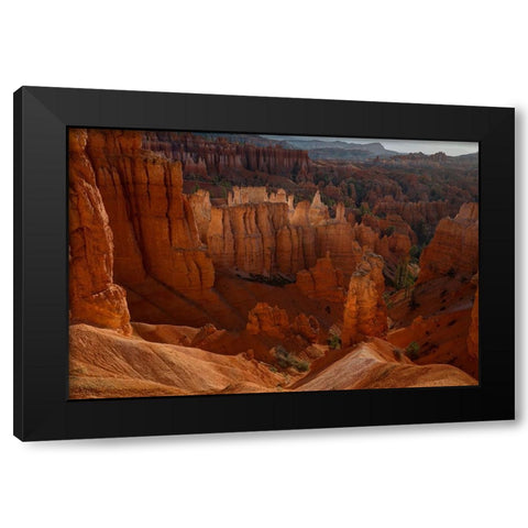 Illumination Black Modern Wood Framed Art Print by Sherrell, Bill