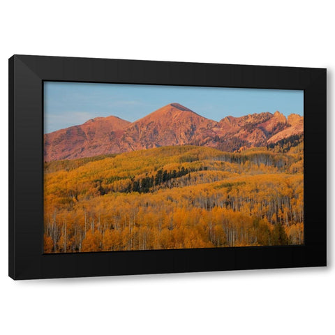 Majestic Autumn Black Modern Wood Framed Art Print with Double Matting by Sherrell, Bill