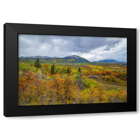 Mountains Of Aspens Black Modern Wood Framed Art Print by Sherrell, Bill