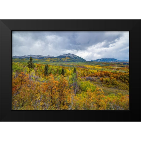 Mountains Of Aspens Black Modern Wood Framed Art Print by Sherrell, Bill